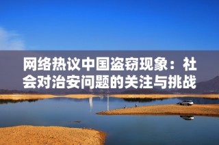 網(wǎng)絡(luò)熱議中國盜竊現(xiàn)象：社會對治安問題的關(guān)注與挑戰(zhàn)