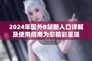 2024年國外B站新入口詳解及使用指南為您精彩呈現(xiàn)