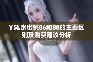 YSL水蜜桃86和88的主要區(qū)別及購買建議分析