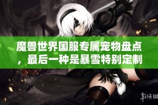 魔獸世界國服專屬寵物盤點，最后一種是暴雪特別定制版