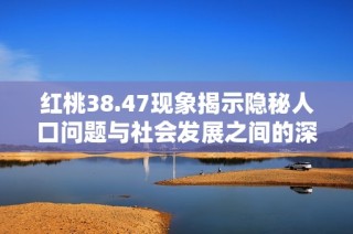 紅桃38.47現(xiàn)象揭示隱秘人口問題與社會(huì)發(fā)展之間的深厚聯(lián)系