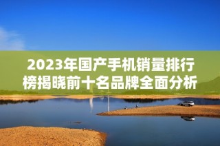 2023年國產(chǎn)手機銷量排行榜揭曉前十名品牌全面分析與點評