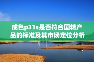 成色p31s是否符合國精產(chǎn)品的標(biāo)準(zhǔn)及其市場定位分析