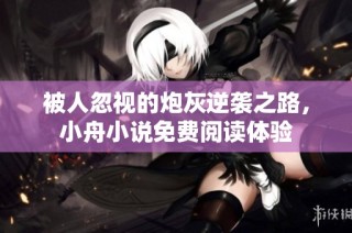 被人忽視的炮灰逆襲之路，小舟小說(shuō)免費(fèi)閱讀體驗(yàn)