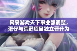 網易游戲天下事業部調整，蛋仔與荒野項目獨立晉升為新事業部