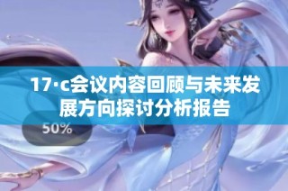 17·c會議內容回顧與未來發展方向探討分析報告