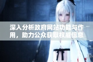 深入分析政府網(wǎng)站功能與作用，助力公眾獲取權(quán)威信息和服務(wù)