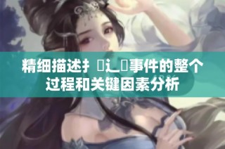 精細(xì)描述扌喿辶畐事件的整個過程和關(guān)鍵因素分析