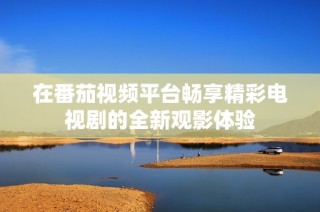 在番茄視頻平臺暢享精彩電視劇的全新觀影體驗