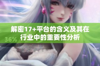 解密17+平臺的含義及其在行業(yè)中的重要性分析