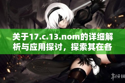 關于17.c.13.nom的詳細解析與應用探討，探索其在各領域的影響及發(fā)展?jié)摿? title=