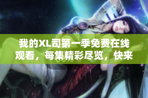 我的XL司第一季免費在線觀看，每集精彩盡覽，快來一起追劇吧