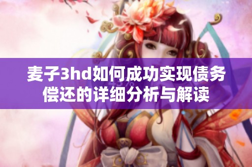 麥子3hd如何成功實(shí)現(xiàn)債務(wù)償還的詳細(xì)分析與解讀