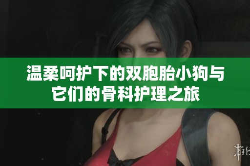 溫柔呵護下的雙胞胎小狗與它們的骨科護理之旅