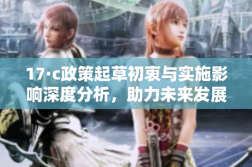 17·c政策起草初衷與實(shí)施影響深度分析，助力未來(lái)發(fā)展方向探討