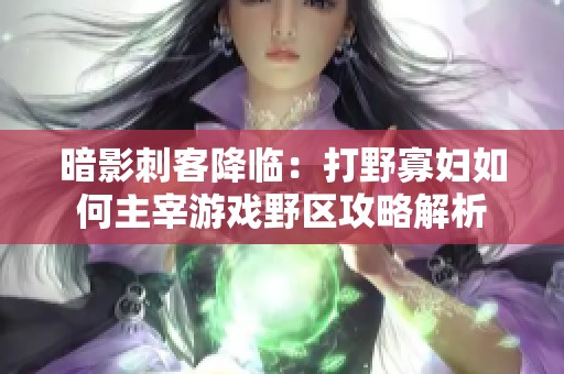 暗影刺客降臨：打野寡婦如何主宰游戲野區(qū)攻略解析