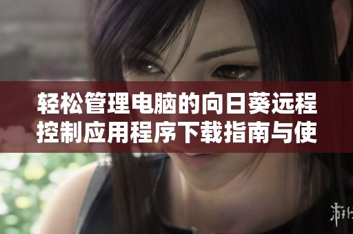 輕松管理電腦的向日葵遠程控制應用程序下載指南與使用說明