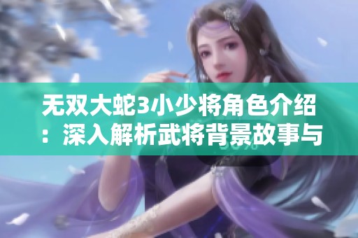 無雙大蛇3小少將角色介紹：深入解析武將背景故事與特點(diǎn)