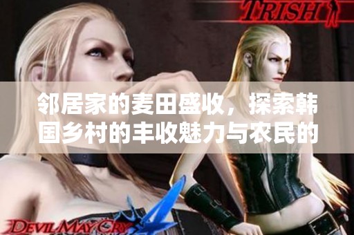 鄰居家的麥田盛收，探索韓國鄉村的豐收魅力與農民的辛勤付出
