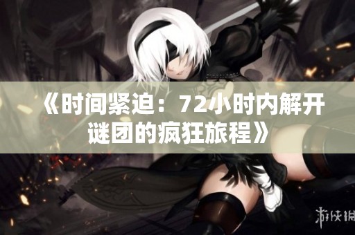 《時間緊迫：72小時內解開謎團的瘋狂旅程》