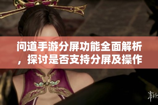 問道手游分屏功能全面解析，探討是否支持分屏及操作步驟詳解