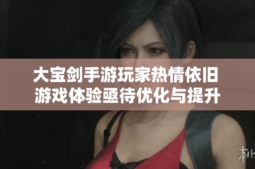 大寶劍手游玩家熱情依舊 游戲體驗亟待優化與提升