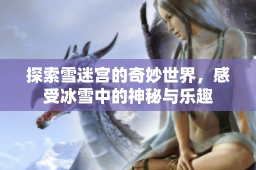 探索雪迷宮的奇妙世界，感受冰雪中的神秘與樂趣