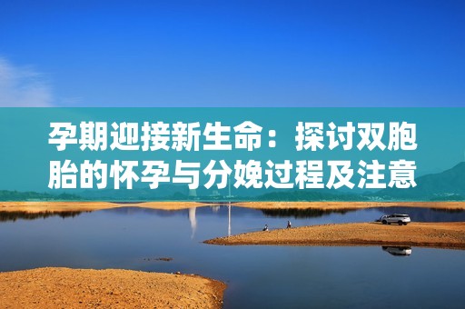 孕期迎接新生命：探討雙胞胎的懷孕與分娩過程及注意事項(xiàng)