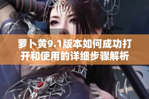 蘿卜黃9.1版本如何成功打開和使用的詳細(xì)步驟解析
