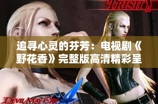 追尋心靈的芬芳：電視劇《野花香》完整版高清精彩呈現