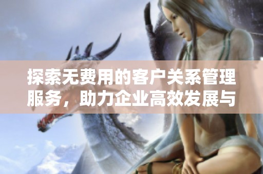 探索無費用的客戶關系管理服務，助力企業高效發展與客戶維護
