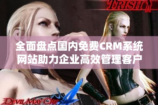 全面盤點(diǎn)國內(nèi)免費(fèi)CRM系統(tǒng)網(wǎng)站助力企業(yè)高效管理客戶關(guān)系