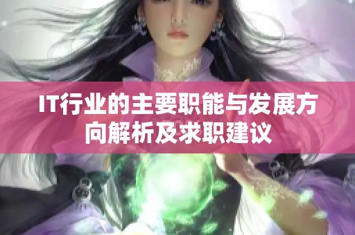 IT行業的主要職能與發展方向解析及求職建議