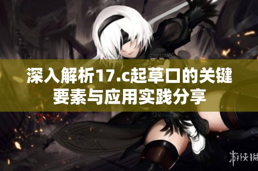 深入解析17.c起草口的關(guān)鍵要素與應(yīng)用實踐分享